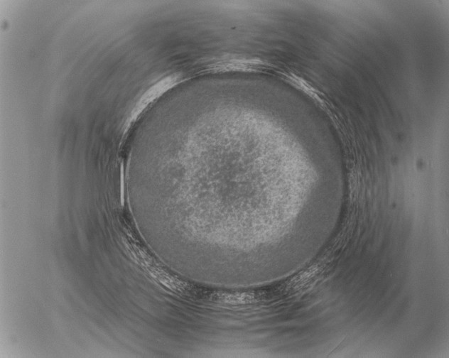 X0000057081219200509231615