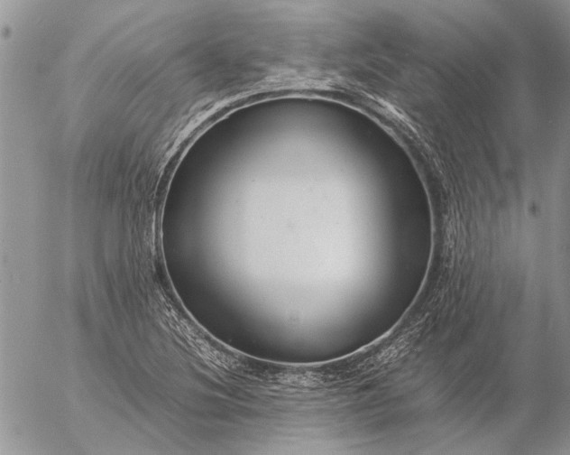 X0000057081220200509231615