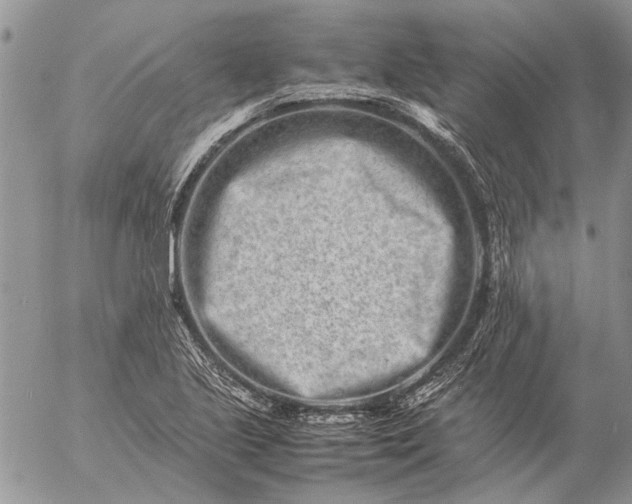 X0000057081221200509231615