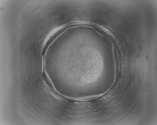 X0000057081223200509231615