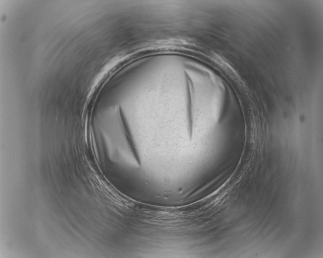 X0000057081224200509231615