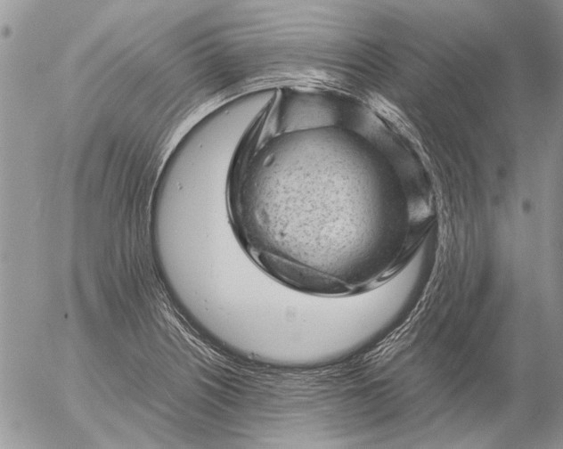 X0000057081226200509231615