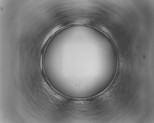 X0000057081227200509231615