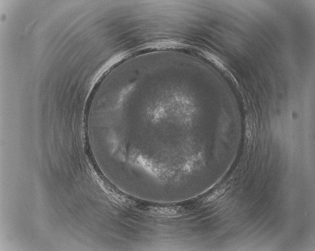 X0000057081229200509231615