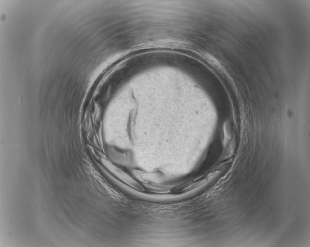 X0000057081230200509231615