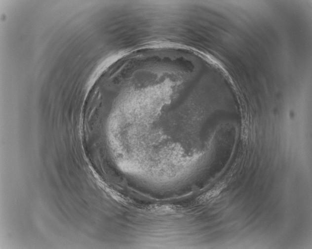 X0000057081231200509231615