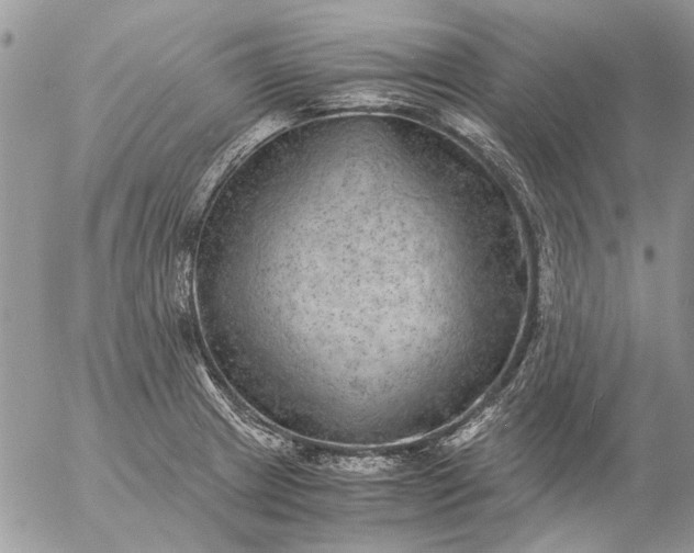 X0000057081233200509231615