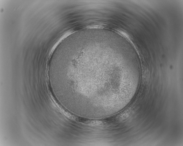 X0000057081235200509231615