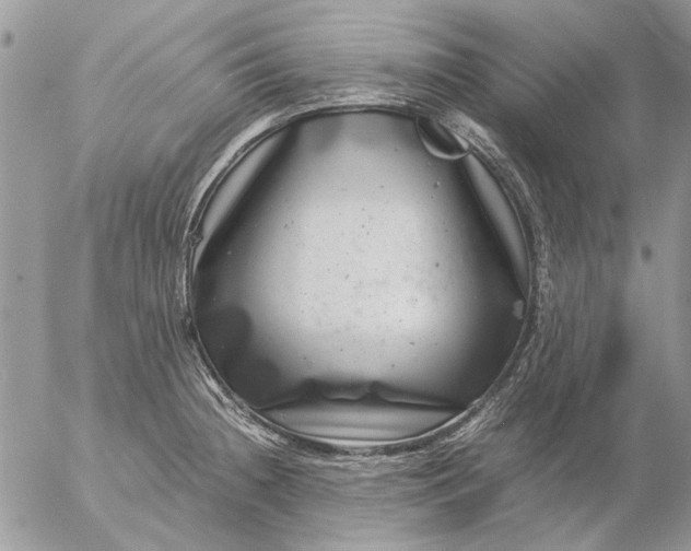 X0000057081236200509231615