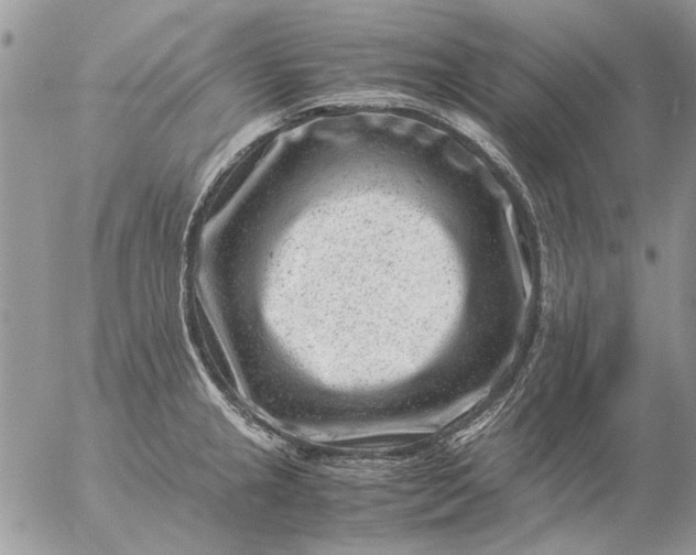 X0000057081237200509231615