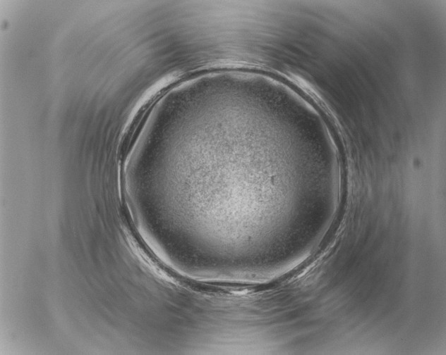 X0000057081238200509231615