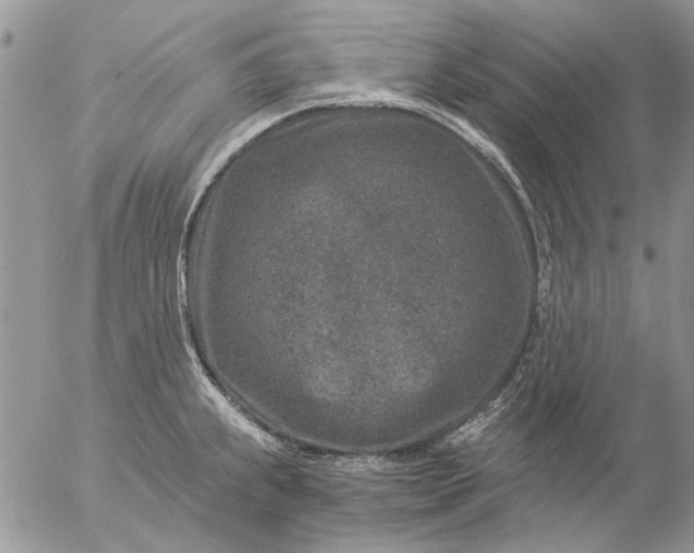 X0000057081239200509231615