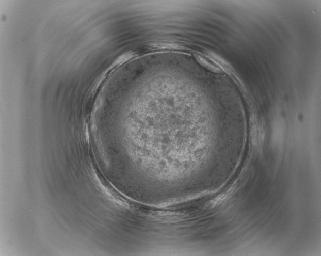 X0000057081241200509231615