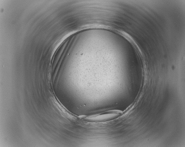 X0000057081244200509231615