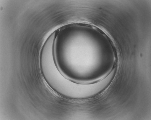 X0000057081246200509231615