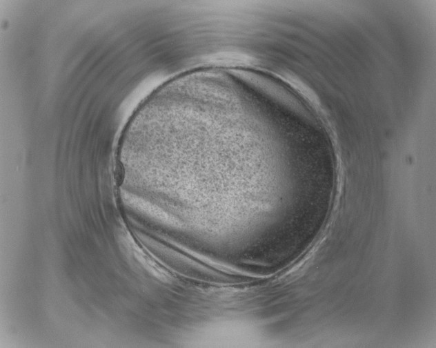 X0000057081248200509231616