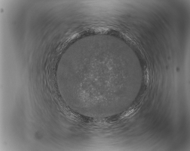 X0000057081249200509231615