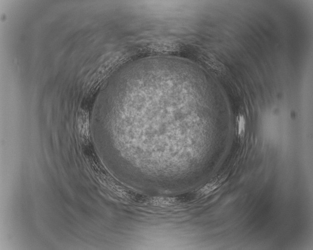 X0000057081251200509231615