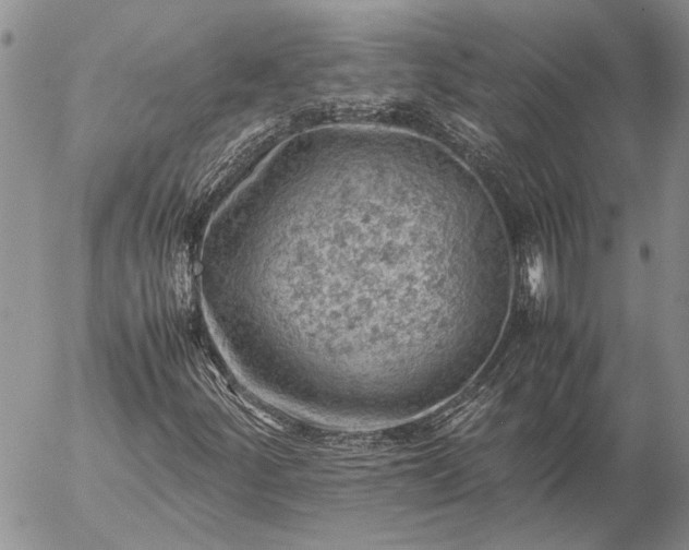 X0000057081252200509231615