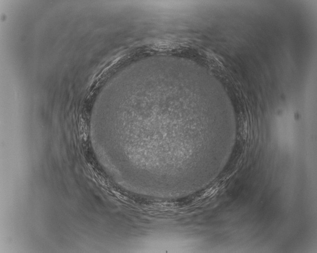 X0000057081253200509231615