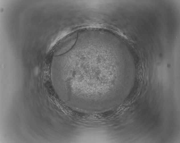 X0000057081255200509231615