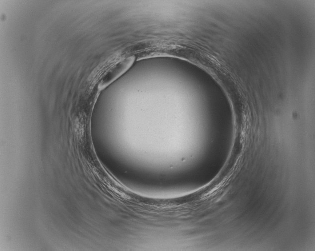 X0000057081257200509231615