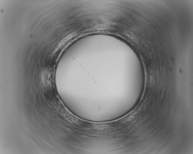 X0000057081258200509231615