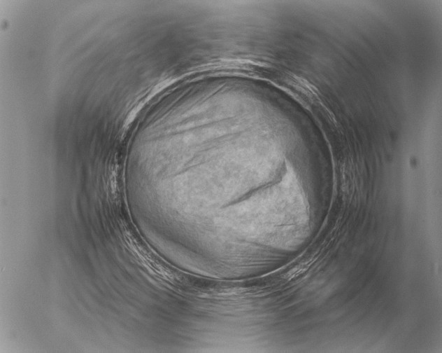 X0000057081260200509231615