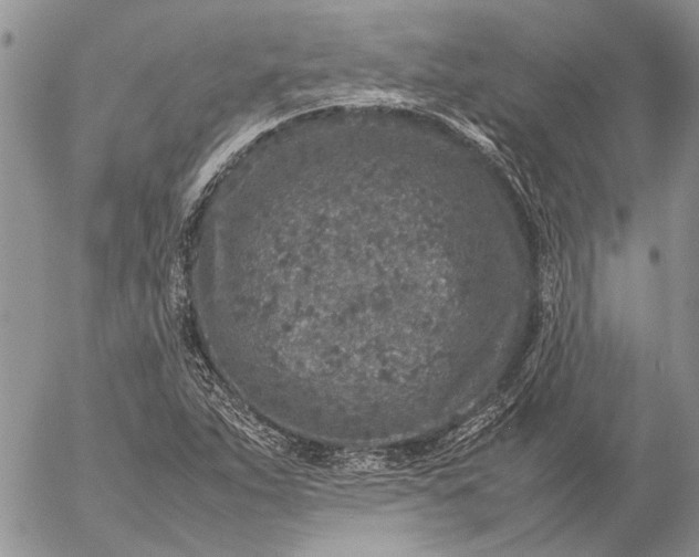 X0000057081263200509231614