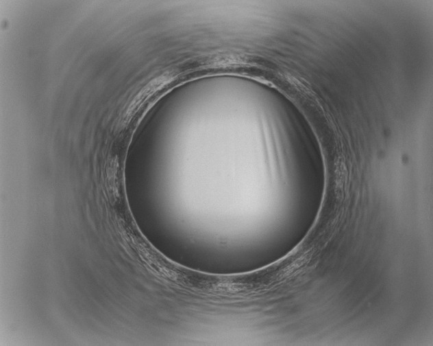 X0000057081265200509231614