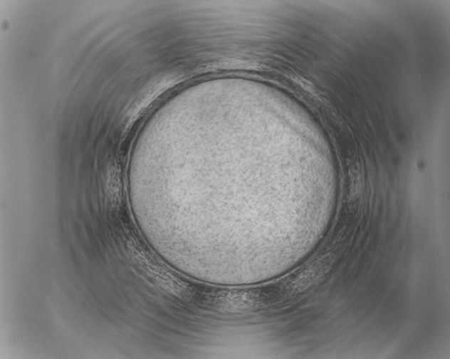 X0000057081266200509231614