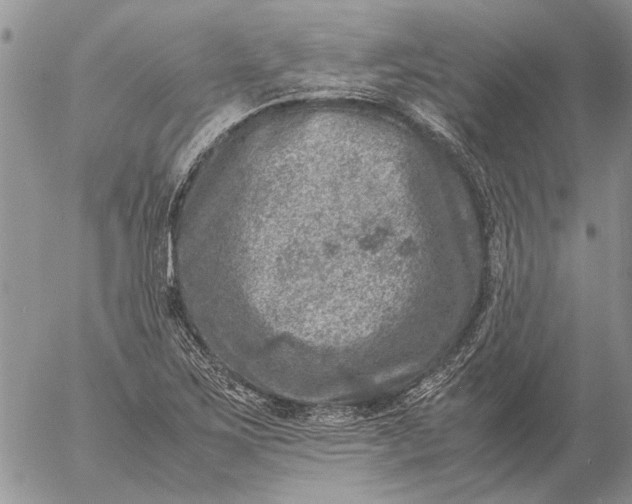 X0000057081267200509231614