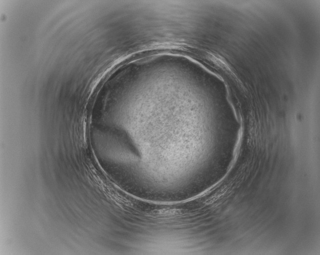 X0000057081268200509231614