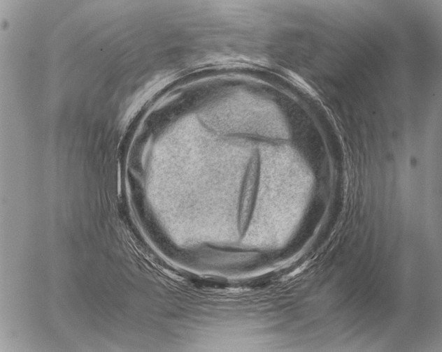 X0000057081269200509231614