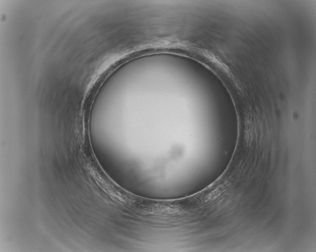 X0000057081270200509231614