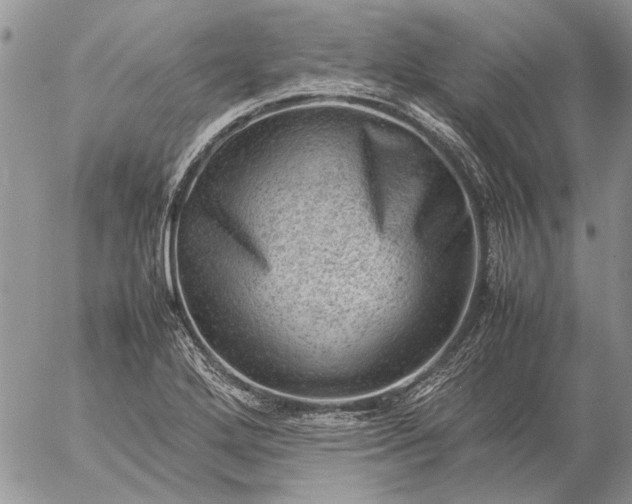 X0000057081272200509231614