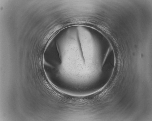 X0000057081273200509231614