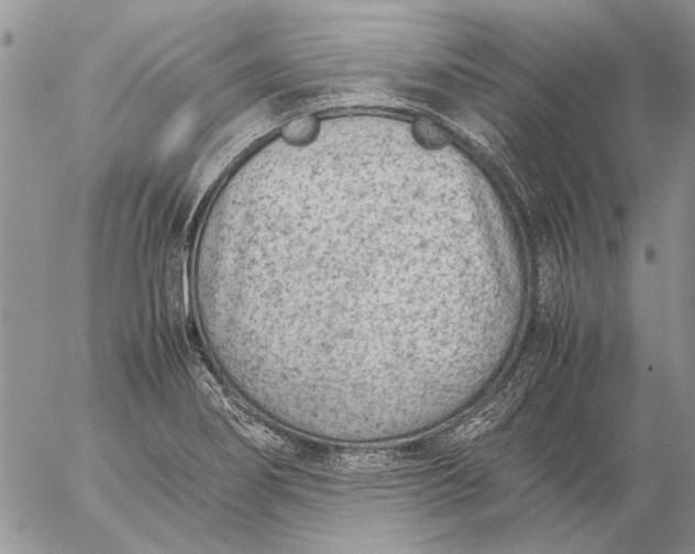 X0000057081274200509231614