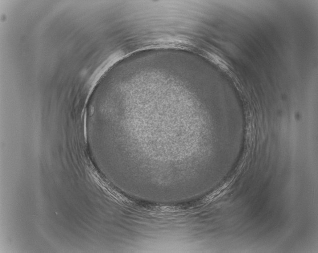 X0000057081275200509231614