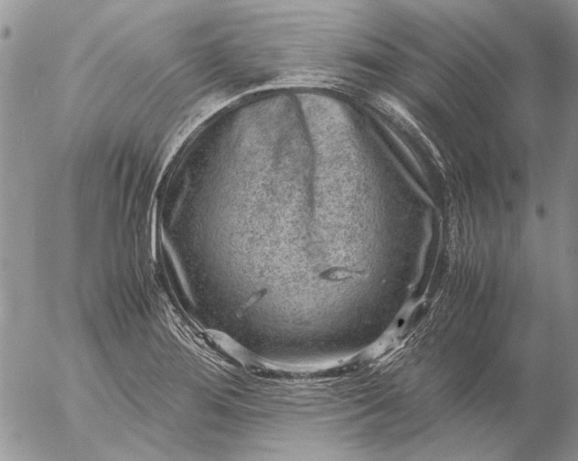 X0000057081276200509231614