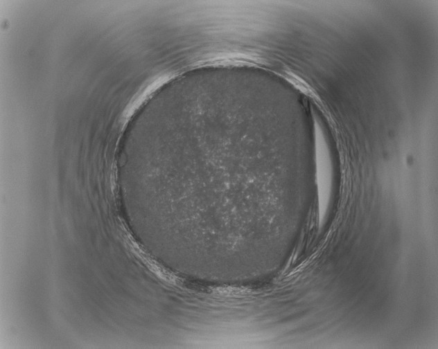 X0000057081277200509231614