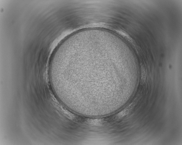 X0000057081278200509231614