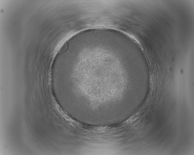 X0000057081279200509231614