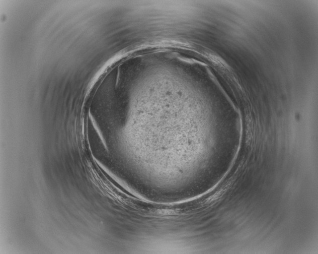 X0000057081280200509231614