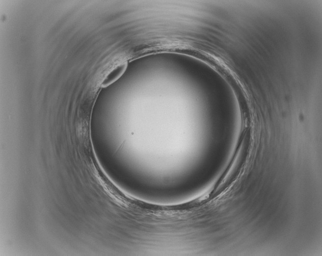 X0000057081281200509231614