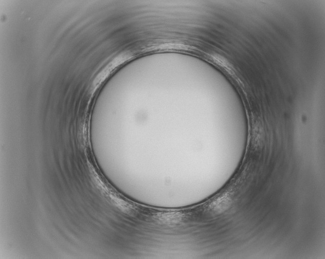 X0000057081282200509231614