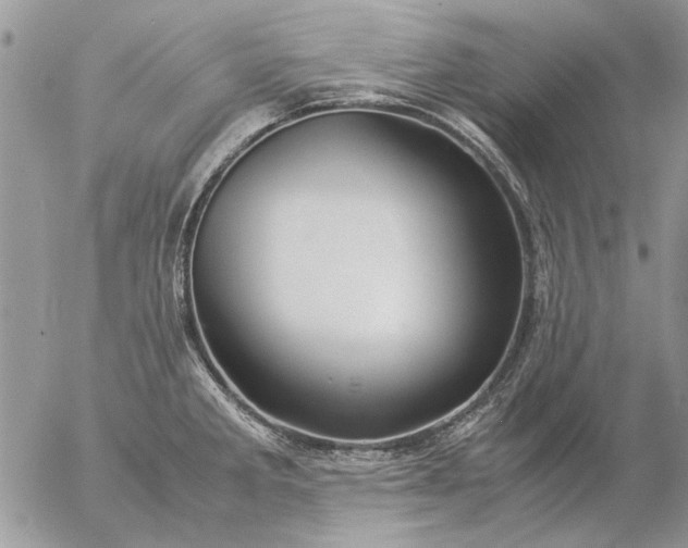 X0000057081285200509231614