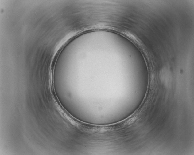 X0000057081286200509231614