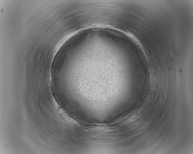 X0000057081287200509231614