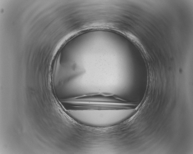 X0000057081288200509231614